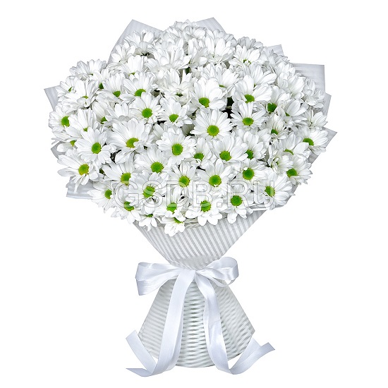 11 белых кустовых хризантем в букете «Внутри тишины»